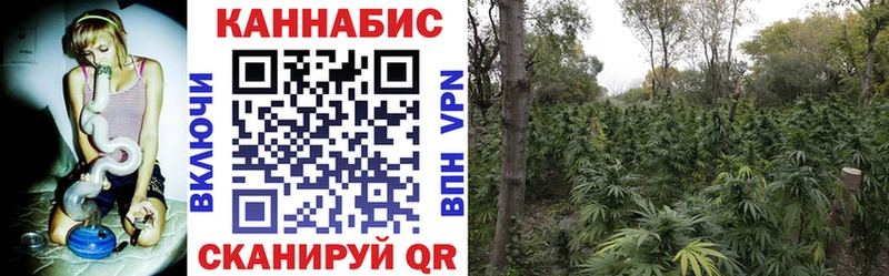 Купить наркотики цена Ялуторовск А ПВП  МЕФ  Гашиш 
