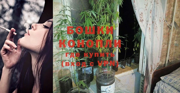 эйфоретик Богородицк