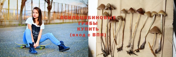 сатива Богородск