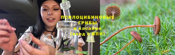 марки lsd Богданович