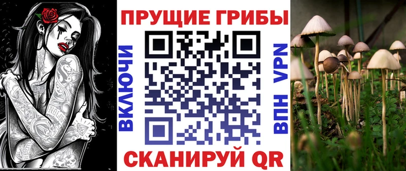 нарко площадка какой сайт Ялуторовск Псилоцибиновые грибы Psilocybe